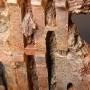 Mines Of Moria (studio)
