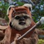 Wicket (Return Of The Jedi)