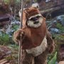 Wicket (Return Of The Jedi)