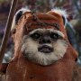 Wicket (Return Of The Jedi)