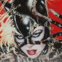 Wildcat Catwoman Art Print (Olivia De Berardinis)