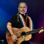 Willie Nelson Retro