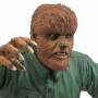 Universal Studios Classic Monsters: Wolfman kasička
