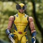 Wolverine