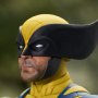 Wolverine
