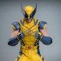 Wolverine