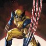 Wolverine #37 Art Print (Kael Ngu)