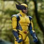 Wolverine