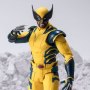 Wolverine
