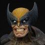 Marvel: Wolverine