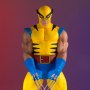Wolverine '74 First Appearance Collectors Gallery