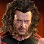 Wolverine Age Of Apocalypse Artisan Edition (Hot Toys)