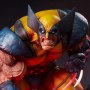 Wolverine Berserker Rage