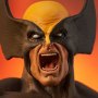 Wolverine Brown