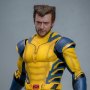 Wolverine Deluxe