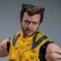 Wolverine Deluxe