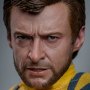 Wolverine Deluxe