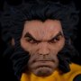 Wolverine (Erick Sosa)