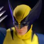 Wolverine Steel Box Deluxe