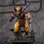 Wolverine Unleashed Deluxe