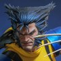 Wolverine Unmasked