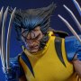 Wolverine Unmasked