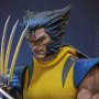 Wolverine Unmasked
