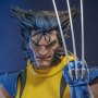 Wolverine Unmasked
