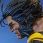 Wolverine Unmasked