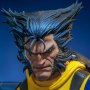 Wolverine Unmasked