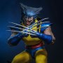 Wolverine Unmasked