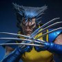 Wolverine Unmasked
