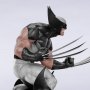 Wolverine X-Force