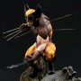 Marvel: Wolverine Brown