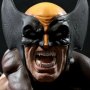 Wolverine Brown