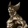 Wolverine Classic Bronze (studio)
