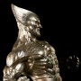 Wolverine Classic Bronze (studio)