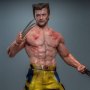 Wolverine TVA Jacket