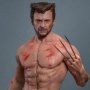 Wolverine TVA Jacket