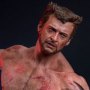 Wolverine TVA Jacket