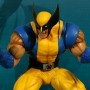 Wolverine Vs. Ryu