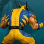 Wolverine Vs. Ryu