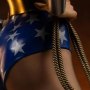 Wonder Woman DC Trinity Legacy