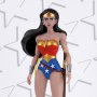 DC Comics Animated: Wonder Woman (Female Hero)