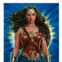 Wonder Woman: Wonder Woman Lasso Of Truth Art Print (Olivia De Berardinis)