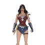 Wonder Woman (The Amazo Virus)