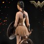 Wonder Woman Training Costume