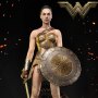 Wonder Woman: Wonder Woman Training Costume