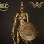 Wonder Woman Training Costume Gold