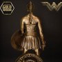 Wonder Woman Training Costume Gold